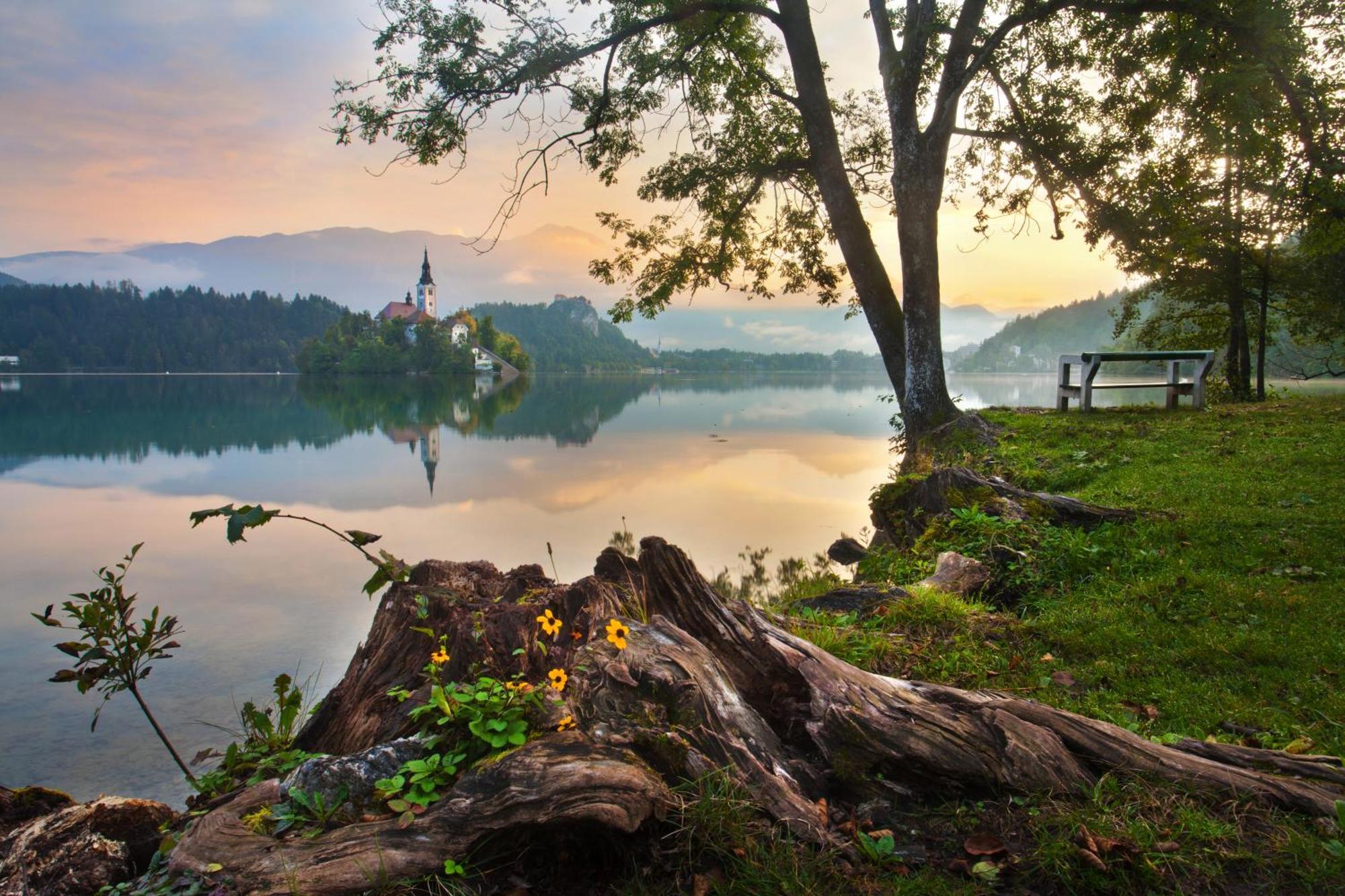 Apartments Valant Bled Zewnętrze zdjęcie